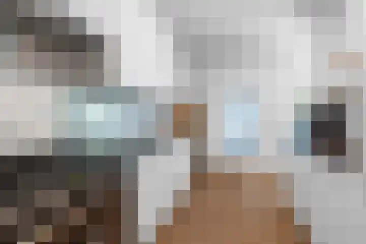 Daalhuizerweg 27 Velp thumbnail 20
