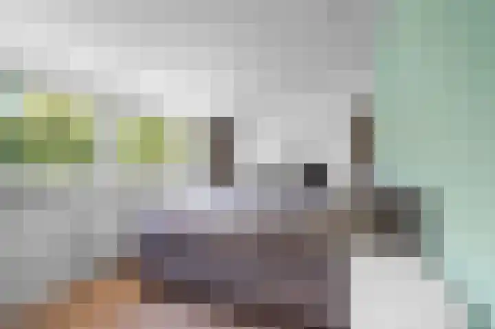 Daalhuizerweg 27 Velp thumbnail 32