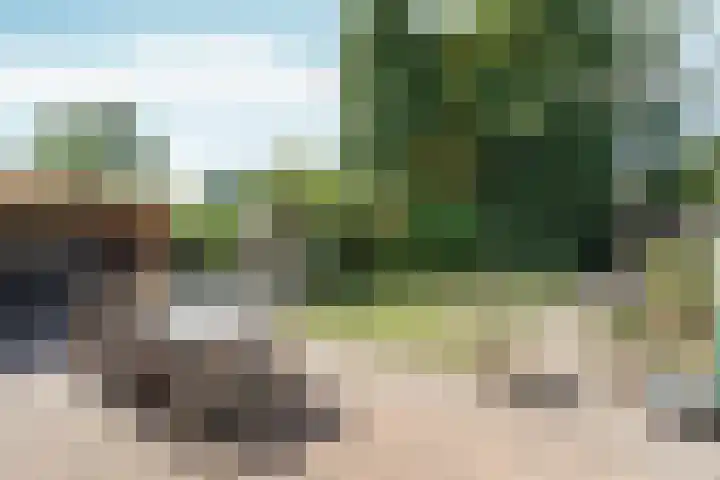 Daalhuizerweg 27 Velp thumbnail 4