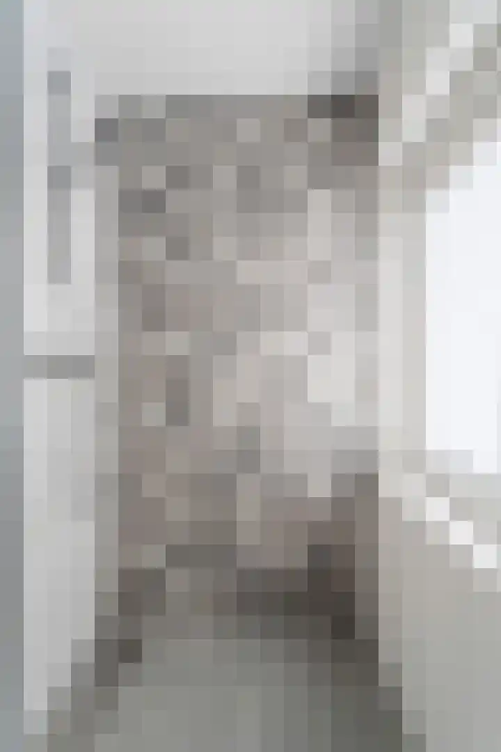 Daalhuizerweg 27 Velp thumbnail 47