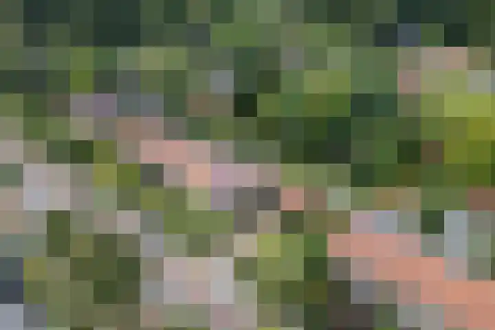 Daalhuizerweg 27 Velp thumbnail 57