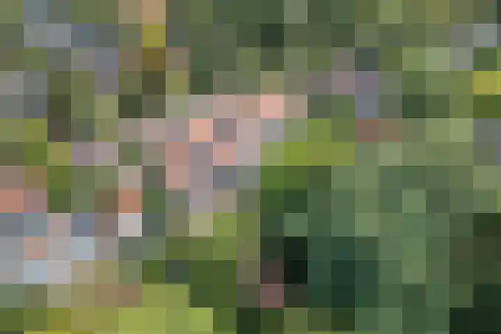 Daalhuizerweg 27 Velp thumbnail 59