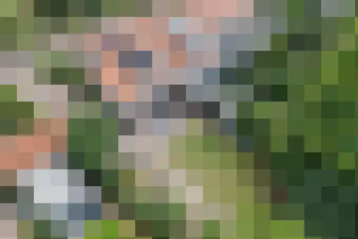 Daalhuizerweg 27 Velp thumbnail 60