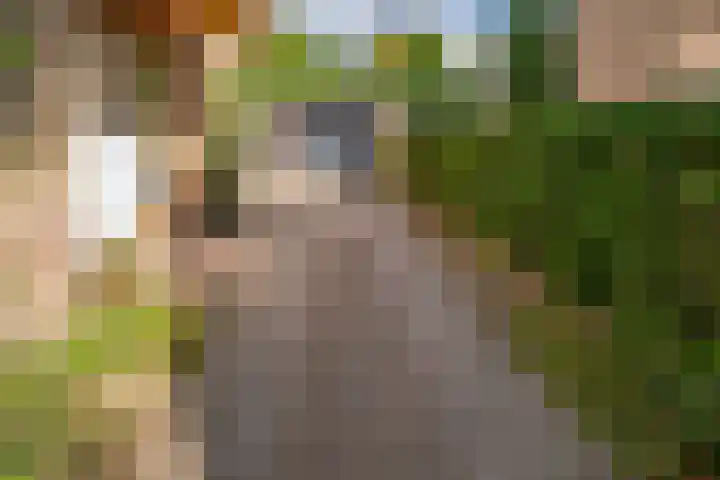 Daalhuizerweg 4 Velp thumbnail 10