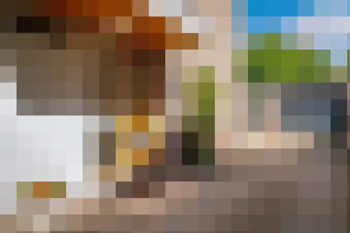 Daalhuizerweg 4 Velp thumbnail 11