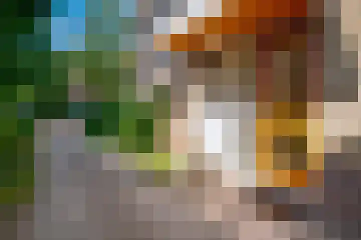 Daalhuizerweg 4 Velp thumbnail 12