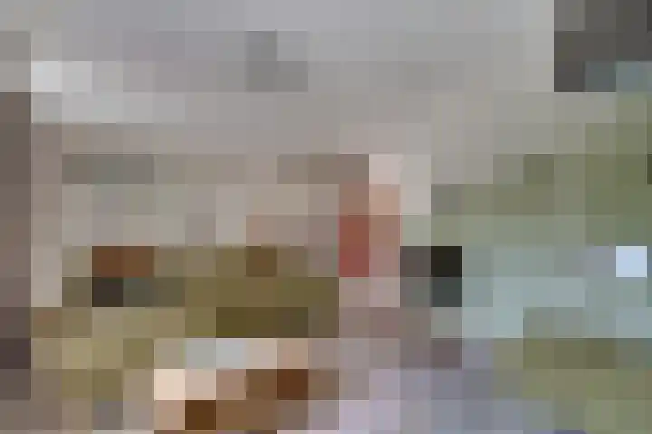 Daalhuizerweg 4 Velp thumbnail 19