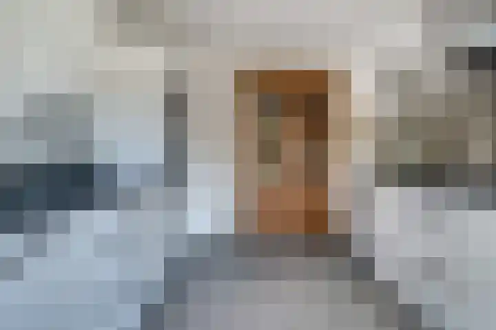 Daalhuizerweg 4 Velp thumbnail 24