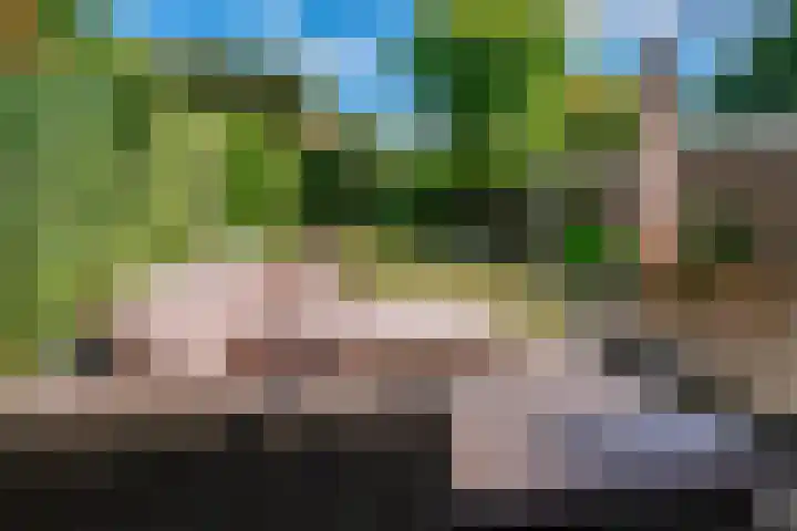 Daalhuizerweg 4 Velp thumbnail 28