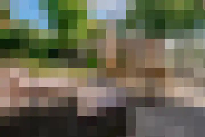 Daalhuizerweg 4 Velp thumbnail 29