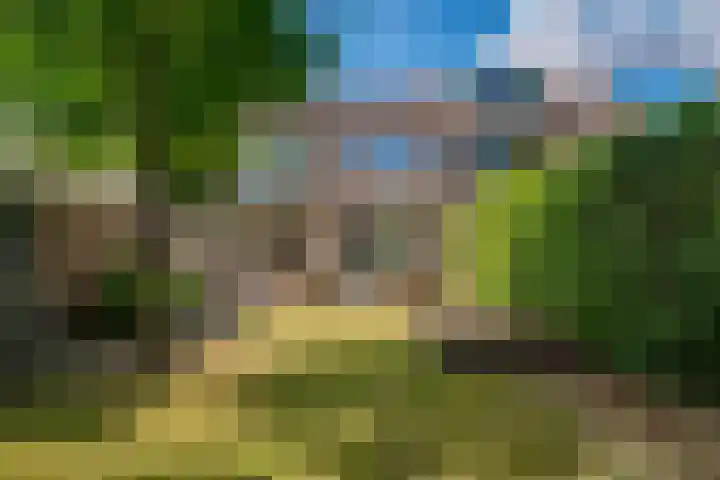 Daalhuizerweg 4 Velp thumbnail 31