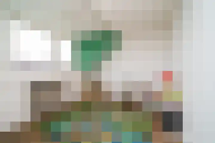 Daalhuizerweg 4 Velp thumbnail 32
