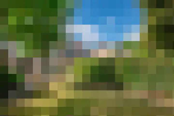 Daalhuizerweg 4 Velp thumbnail 33