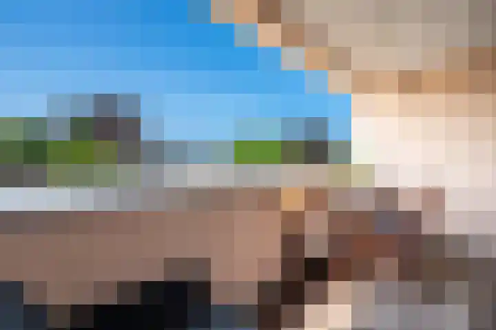 Daalhuizerweg 4 Velp thumbnail 38