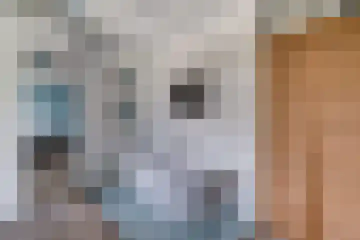 Daalhuizerweg 4 Velp thumbnail 39