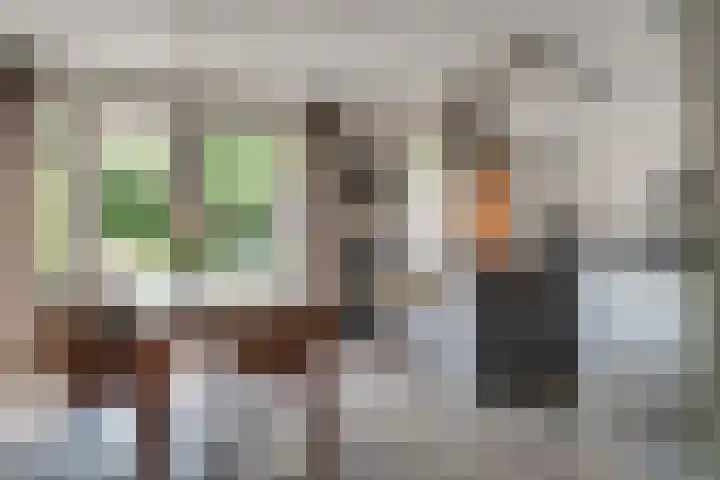 Daalhuizerweg 4 Velp thumbnail 4