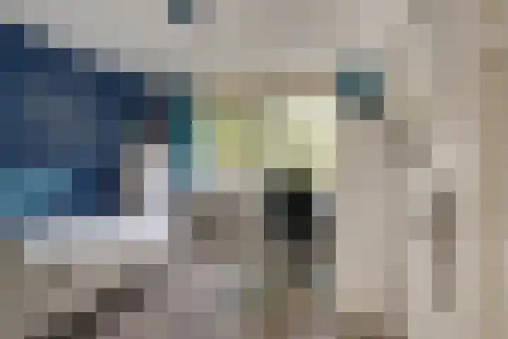 Daalhuizerweg 4 Velp thumbnail 46