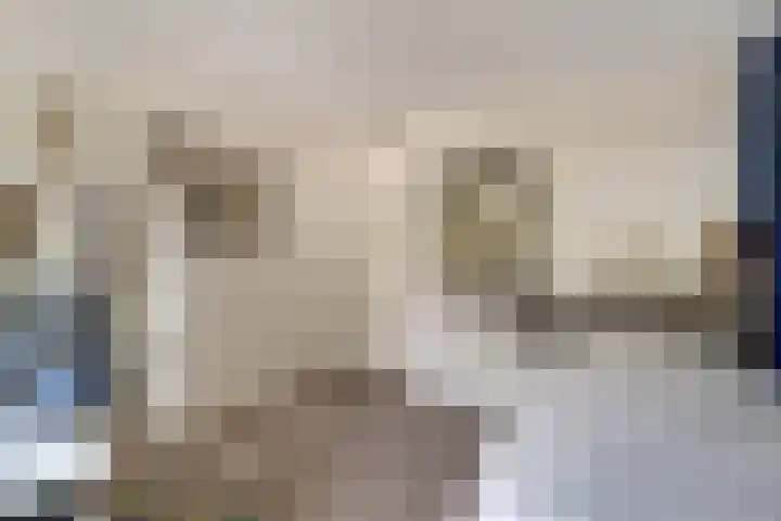 Daalhuizerweg 4 Velp thumbnail 47