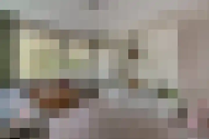 Daalhuizerweg 4 Velp thumbnail 48