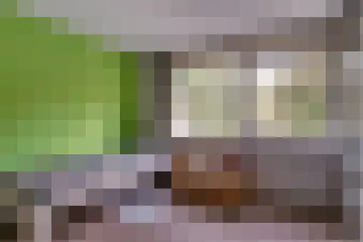 Daalhuizerweg 4 Velp thumbnail 49