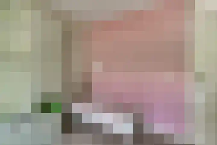 Daalhuizerweg 4 Velp thumbnail 51