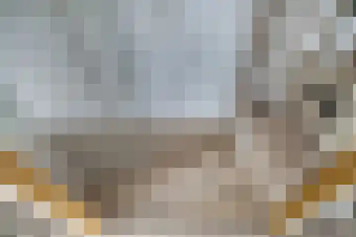 Daalhuizerweg 4 Velp thumbnail 53