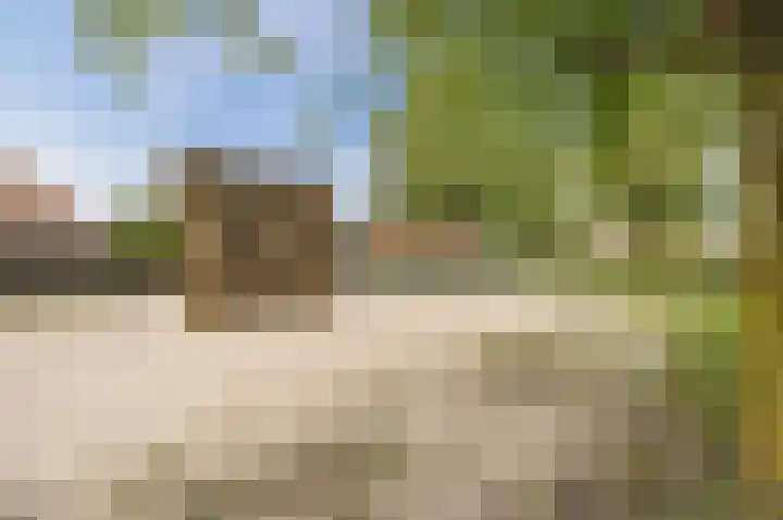 Daalhuizerweg 4 Velp thumbnail 54