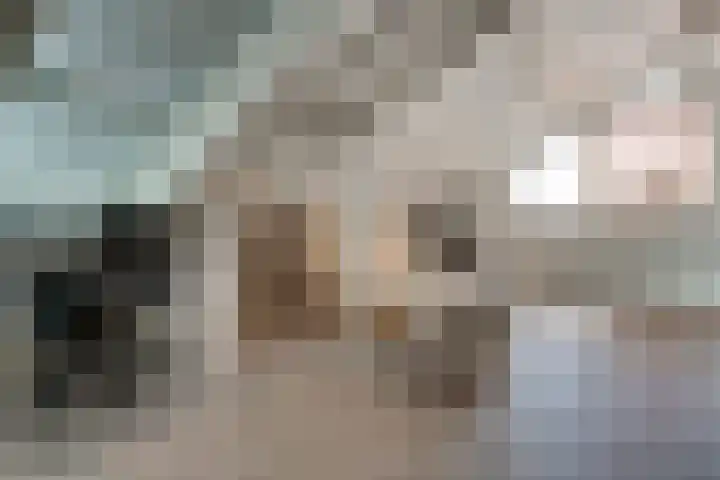Daalhuizerweg 4 Velp thumbnail 54