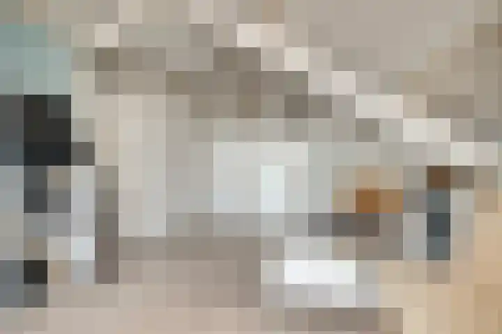 Daalhuizerweg 4 Velp thumbnail 56