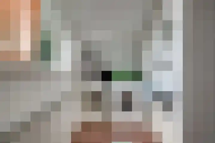 Daalhuizerweg 4 Velp thumbnail 57