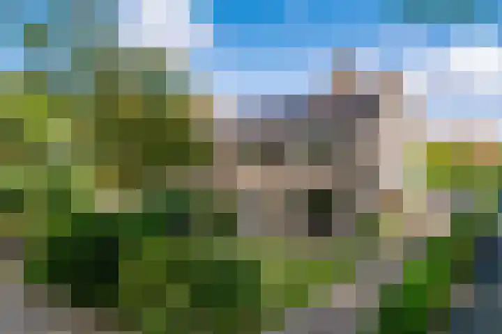 Daalhuizerweg 4 Velp thumbnail 6