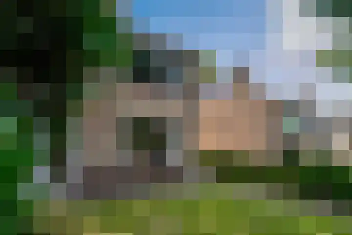 Daalhuizerweg 4 Velp thumbnail 8