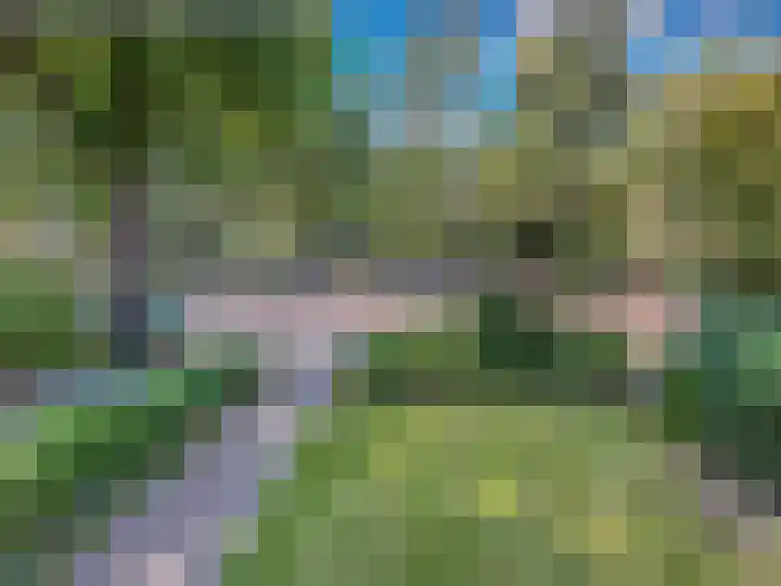 Daalhuizerweg 4 Velp thumbnail 9
