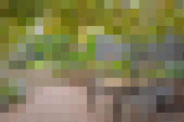 Daalstraat 38 Elsloo thumbnail 11