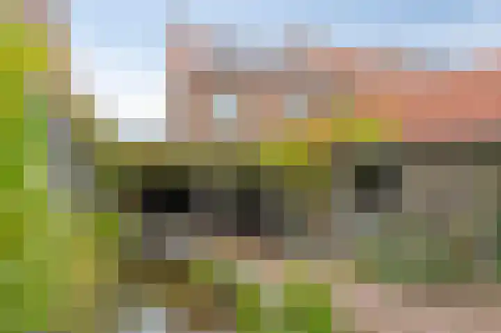 Daalstraat 38 Elsloo thumbnail 12