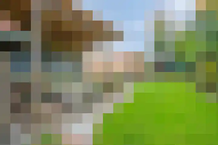 Daalstraat 38 Elsloo thumbnail 14