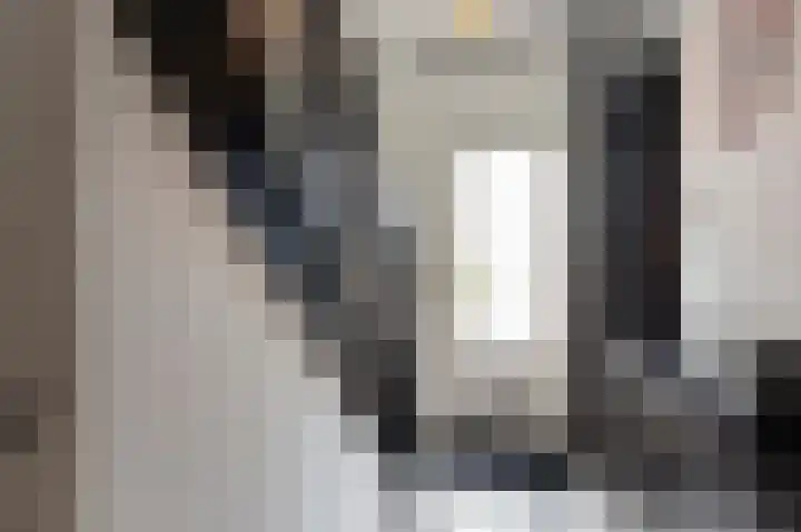 Daalstraat 38 Elsloo thumbnail 18