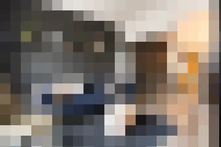 Daalstraat 38 Elsloo thumbnail 21