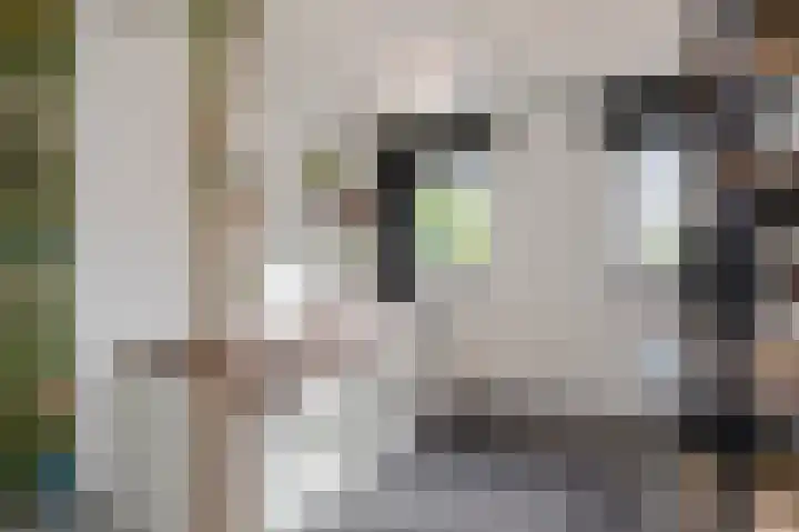 Daalstraat 38 Elsloo thumbnail 38