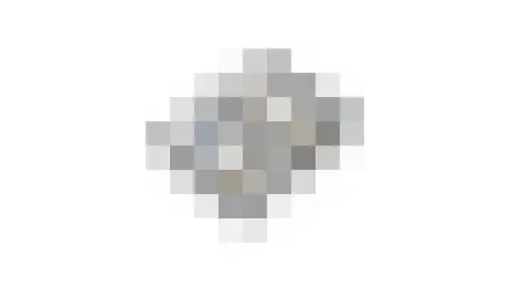 Daalstraat 38 Elsloo thumbnail 51