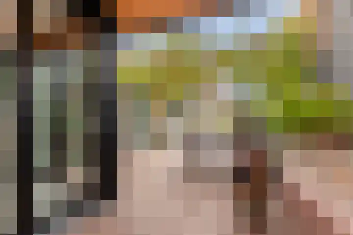 Daalstraat 38 Elsloo thumbnail 8