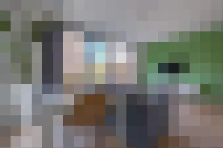 Daan Hoeksemastraat 13 Almere thumbnail 4