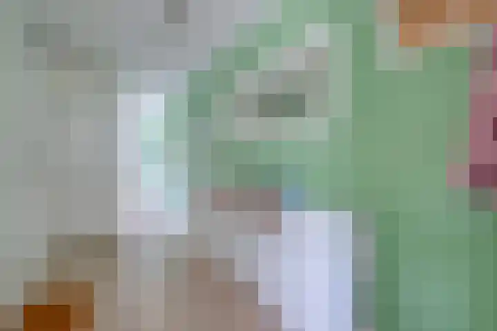 Daan Hoeksemastraat 13 Almere thumbnail 7