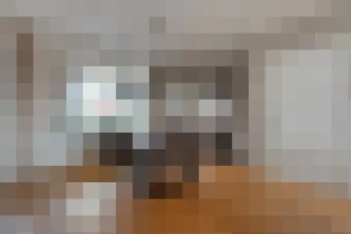 Daarleseweg 13 Den Ham thumbnail 11
