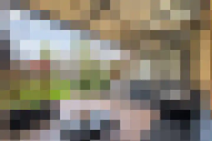 Daarleseweg 13 Den Ham thumbnail 29
