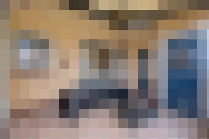Daarleseweg 13 Den Ham thumbnail 30