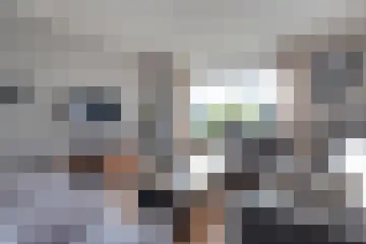 Daarleseweg 13 Den Ham thumbnail 8