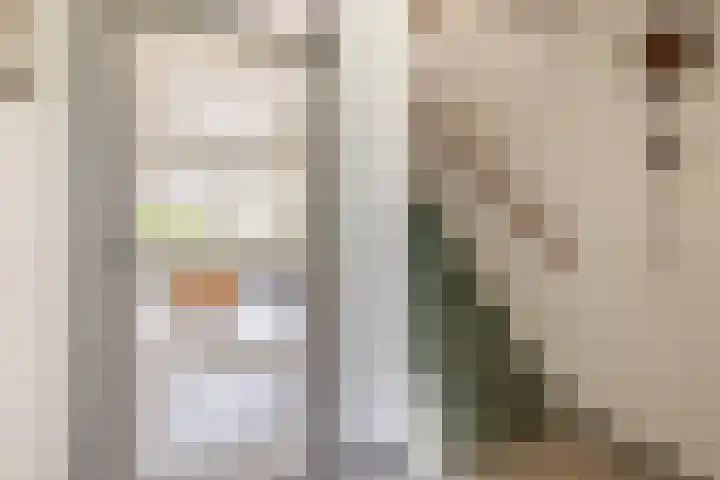 Dabbestraat 24 Oude-Tonge thumbnail 17