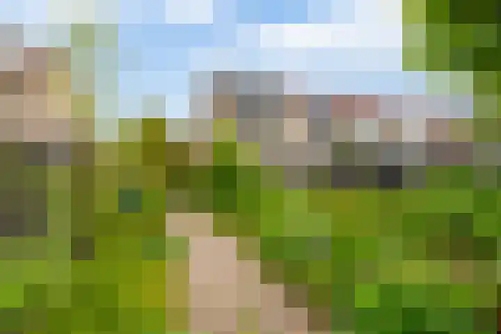 Dabbestraat 24 Oude-Tonge thumbnail 34