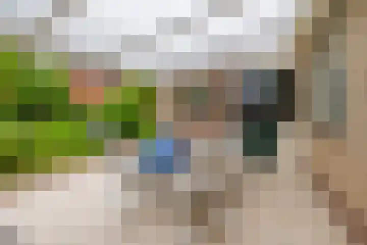 Dabbestraat 24 Oude-Tonge thumbnail 36